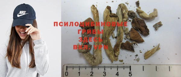 СК Абаза