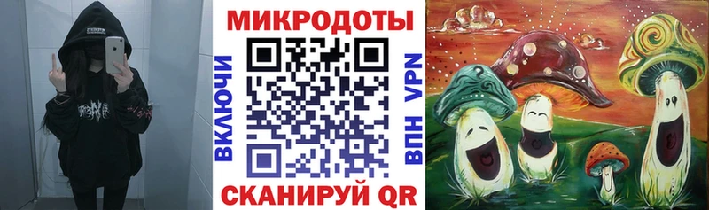 Галлюциногенные грибы MAGIC MUSHROOMS  закладка  Власиха 